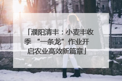 濮阳清丰：小麦丰收季 “一条龙”作业开启农业高效新篇章